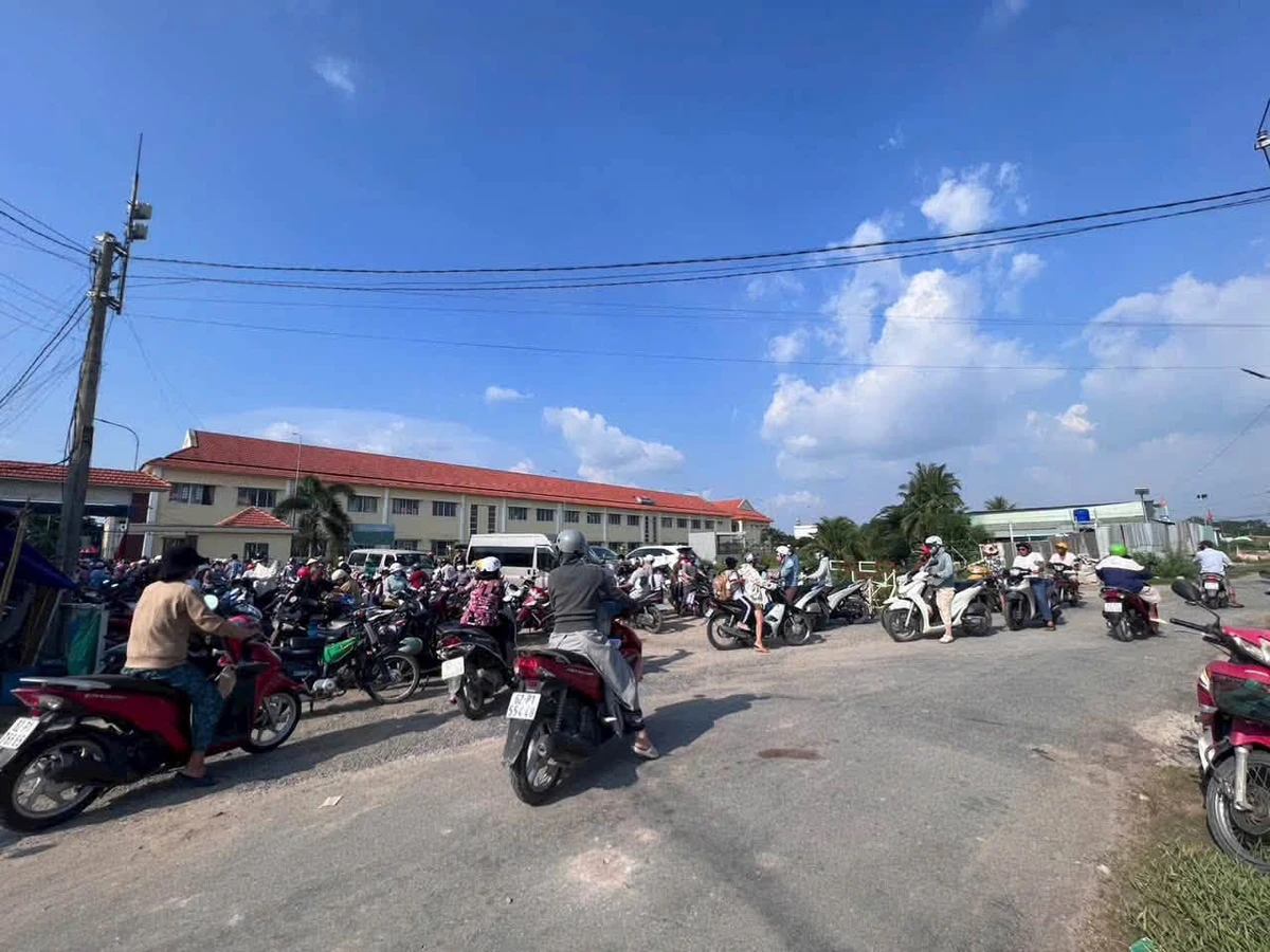 Bán đất Đức Hoà, Long An, 265m², 1 tỷ 450 triệu - Ảnh thu nhỏ 3