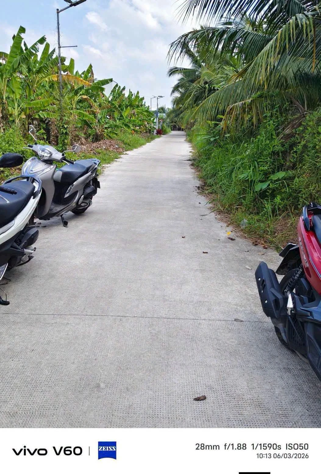 Bán 1200m² đất nền Giao Long, Vĩnh Long - 1 tỷ 950 triệu - Ảnh 1