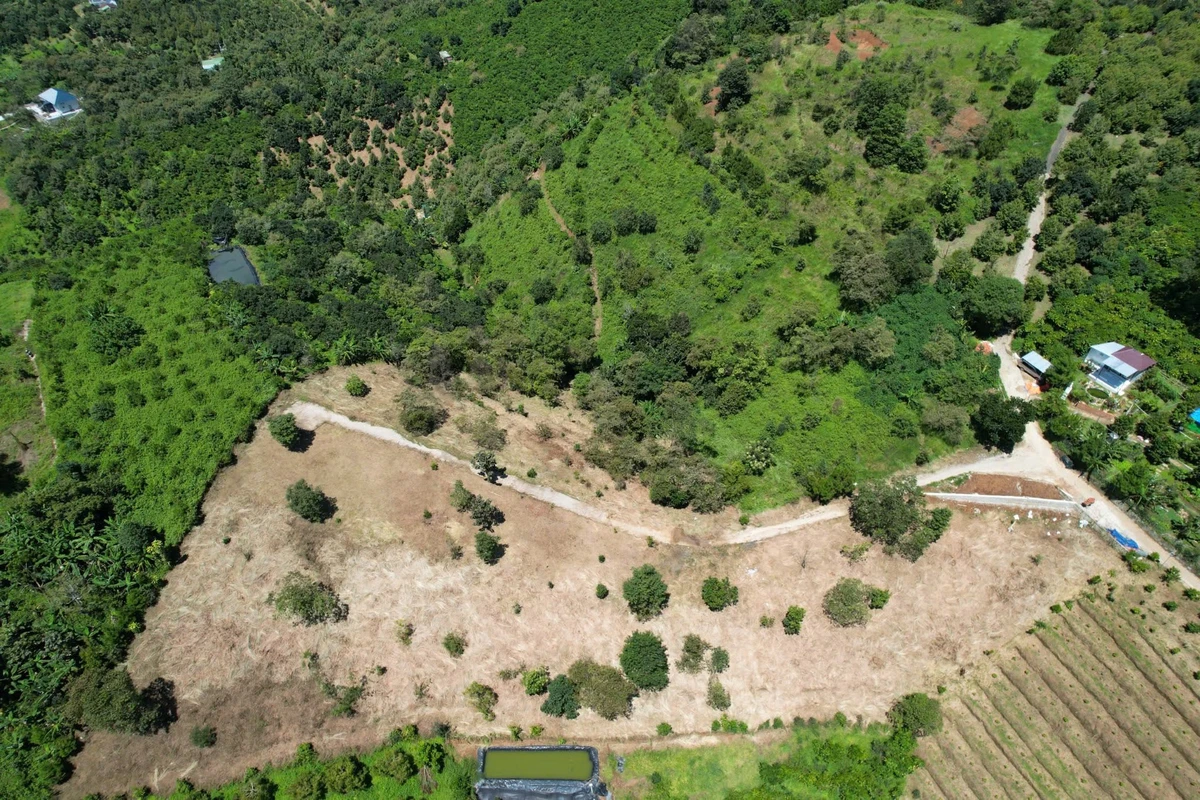 Bán đất 7000m² view đồi Tân Lạc, Bảo Lộc, giảm 350 triệu còn 3,5 tỷ - Ảnh 1