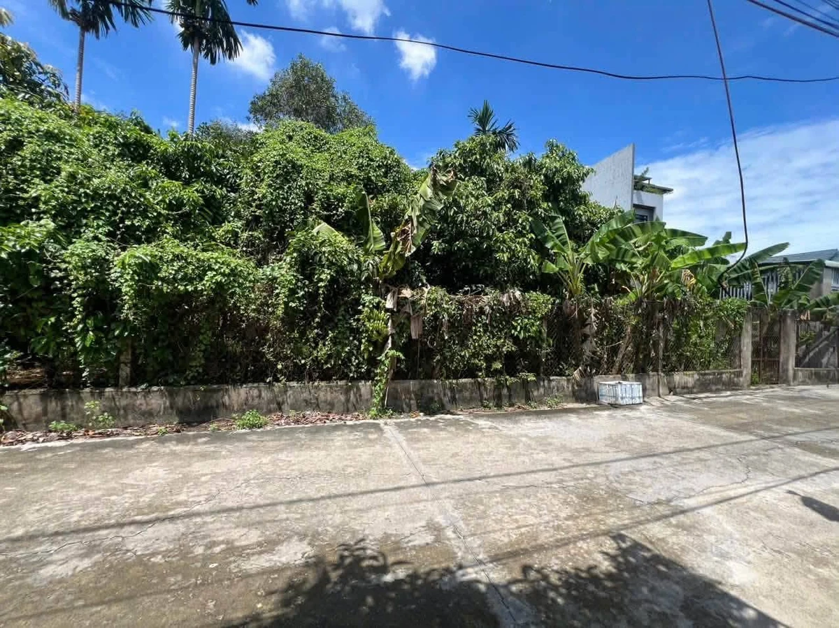 Bán đất vườn 336m² Thuận An, Bình Dương 5 tỷ - Ảnh thu nhỏ 3