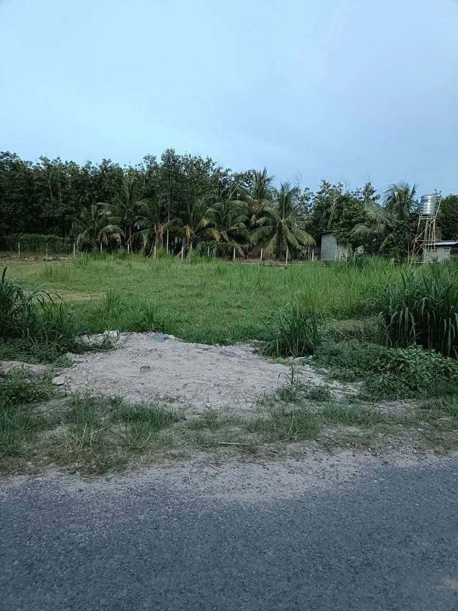 Bán đất mặt tiền ấp Tầm Long, Tây Ninh, 185m², 290 triệu - Ảnh thu nhỏ 3