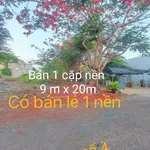 Bán cặp nền đất 180m² Núi Sam Châu Đốc 2 tỷ 600 triệu - Ảnh thu nhỏ 3