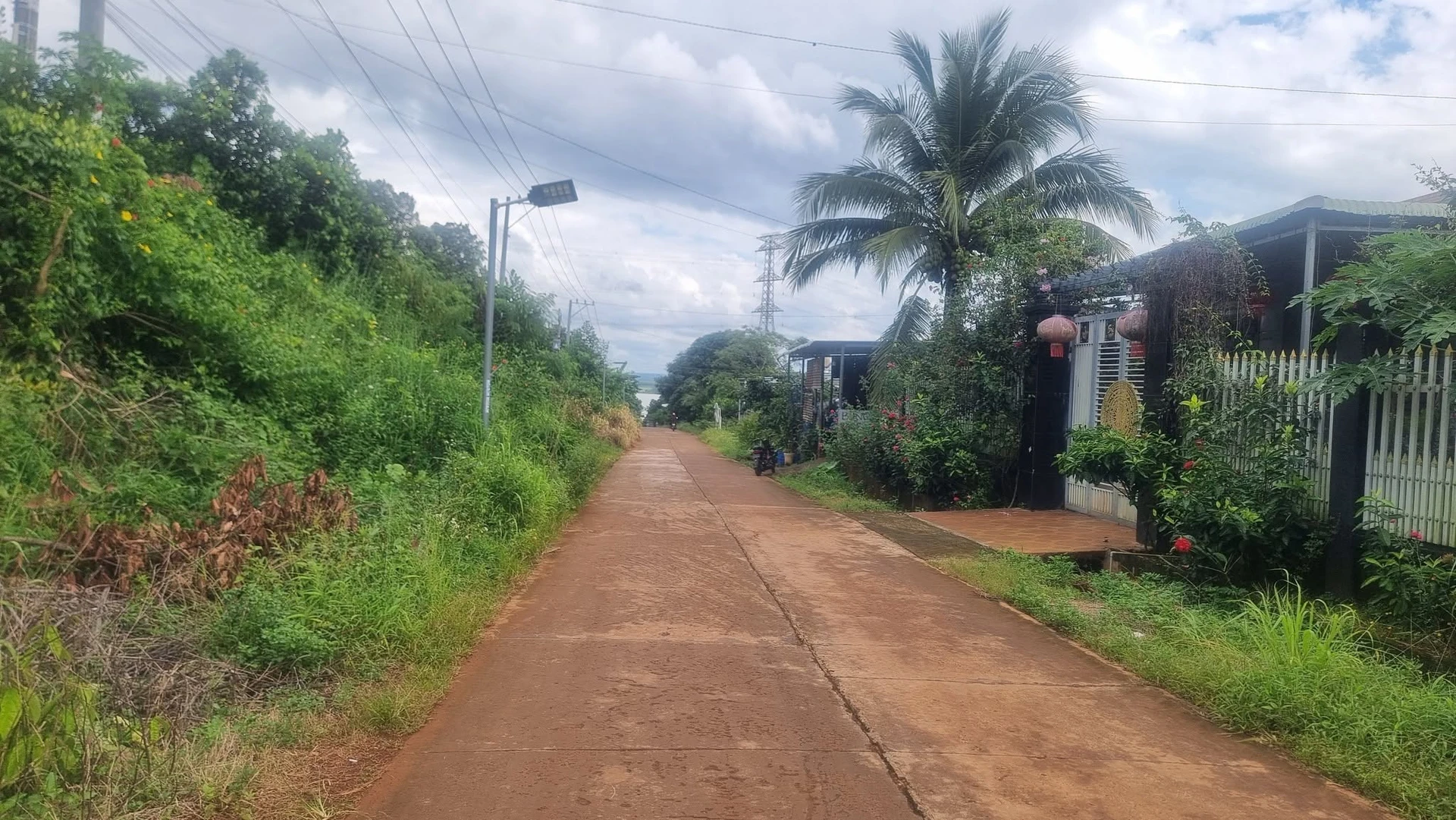 Bán 2 hectare đất đỏ Bù Đăng, mặt tiền QL 14 - Ảnh 1