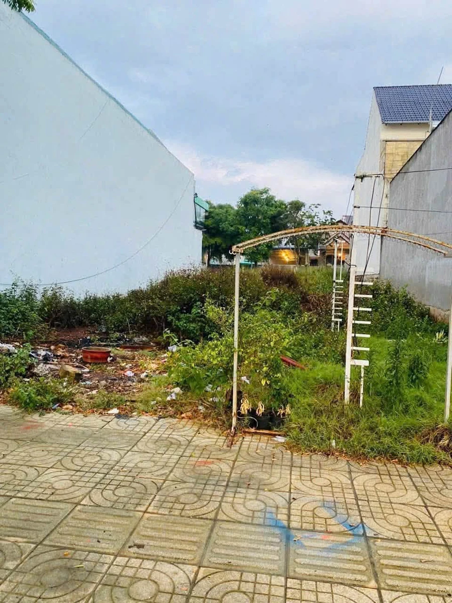 Bán đất mặt đường Hồ Tùng Mậu 5×23m 3,5 tỷ Bình Chánh - Ảnh thu nhỏ 2