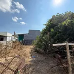 Bán đất biển 257,9m² Ninh Hải, Khánh Hòa, 2 tỷ - Ảnh thu nhỏ 3