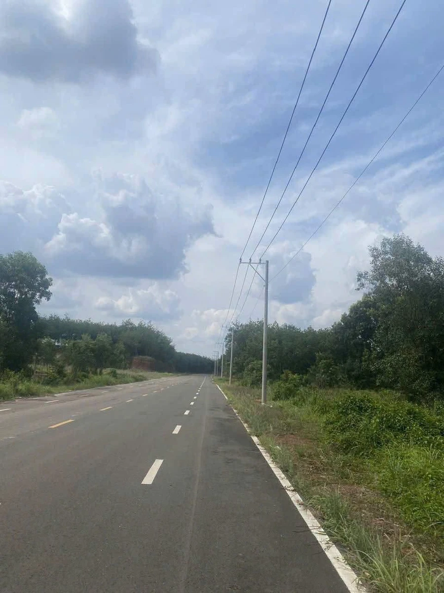 Bán đất 2ha1 (21000m²) gần ĐT741, Quán Y Tân Lợi, Hóc Môn - 28 tỷ - Ảnh 1