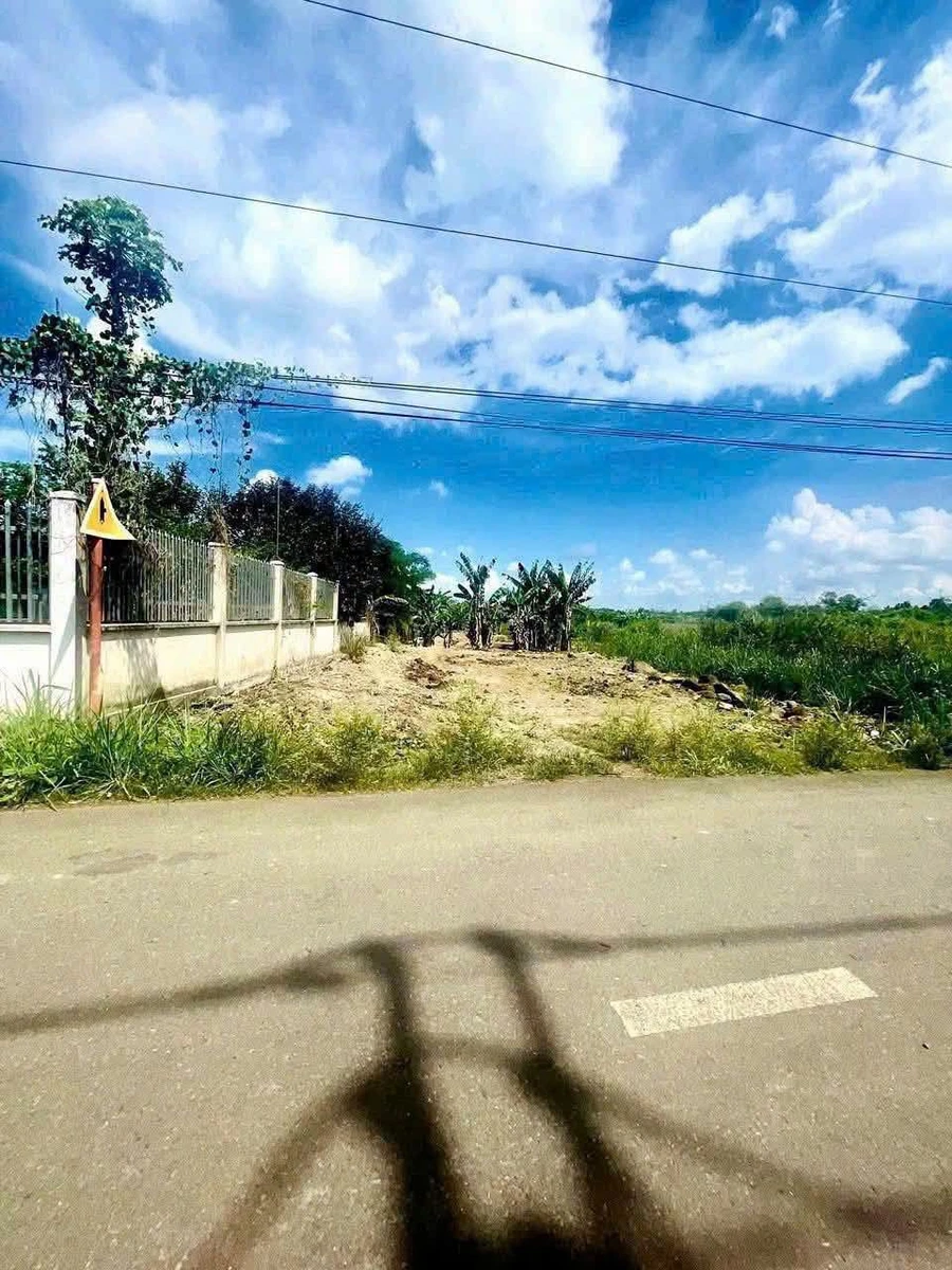 Bán đất 540m² mặt đường, gần KCN Bàu Xéo, Bình Dương - Ảnh thu nhỏ 3