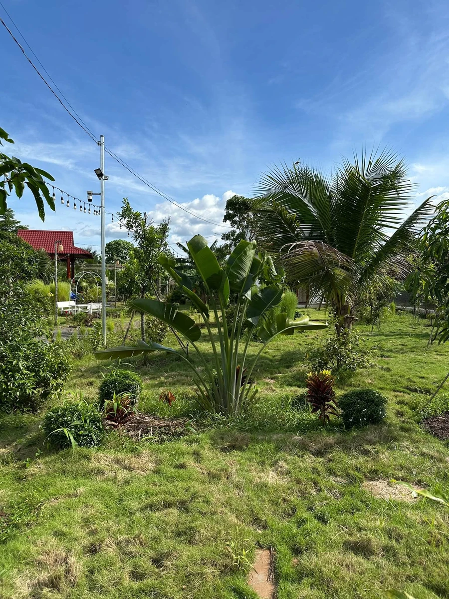 Bán nhà vườn 2186m2 mặt tiền đường nhựa lớn 32m tại Phường Bảo Vinh, Đồng Nai - Ảnh thu nhỏ 5
