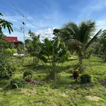 Bán nhà vườn 2186m2 mặt tiền đường nhựa lớn 32m tại Phường Bảo Vinh, Đồng Nai - Ảnh thu nhỏ 5