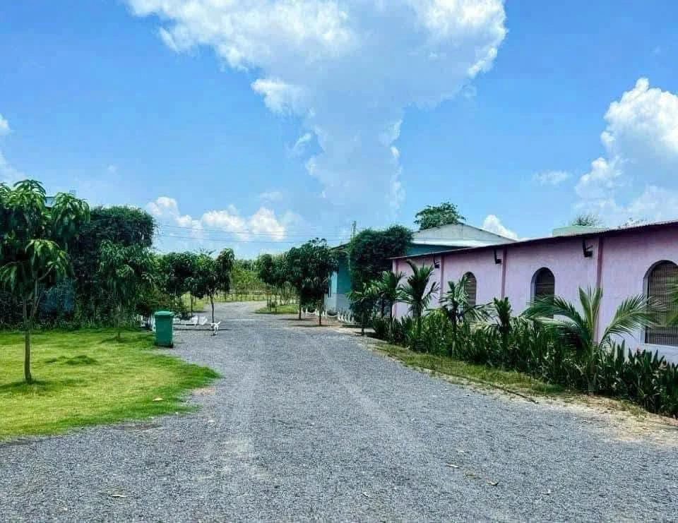 Bán farm 2ha view suối Định Quán, Đồng Nai - 5 tỷ - Ảnh thu nhỏ 2