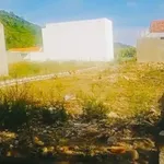 Chính chủ bán BĐS biển Đại Lãnh, khu kinh tế Bắc Vân Phong - Ảnh thu nhỏ 2