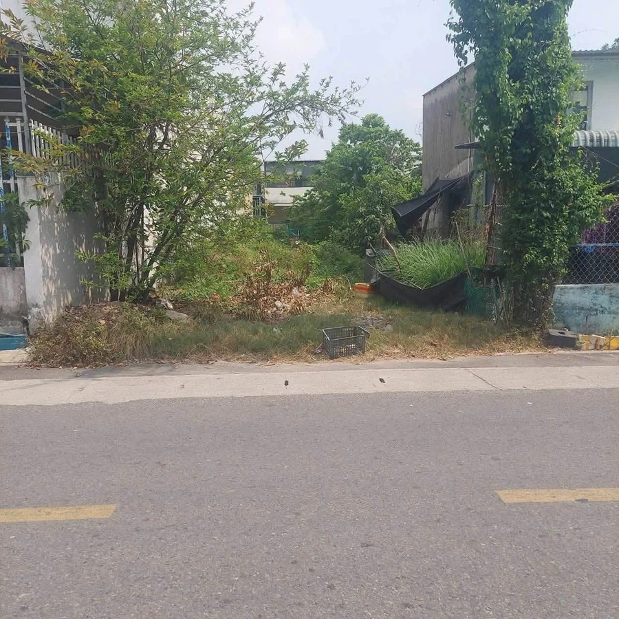 Bán đất 6x40m (100m² thổ cư) đường DX006, phường Bình Dương, giá 5 tỷ - Ảnh thu nhỏ 2
