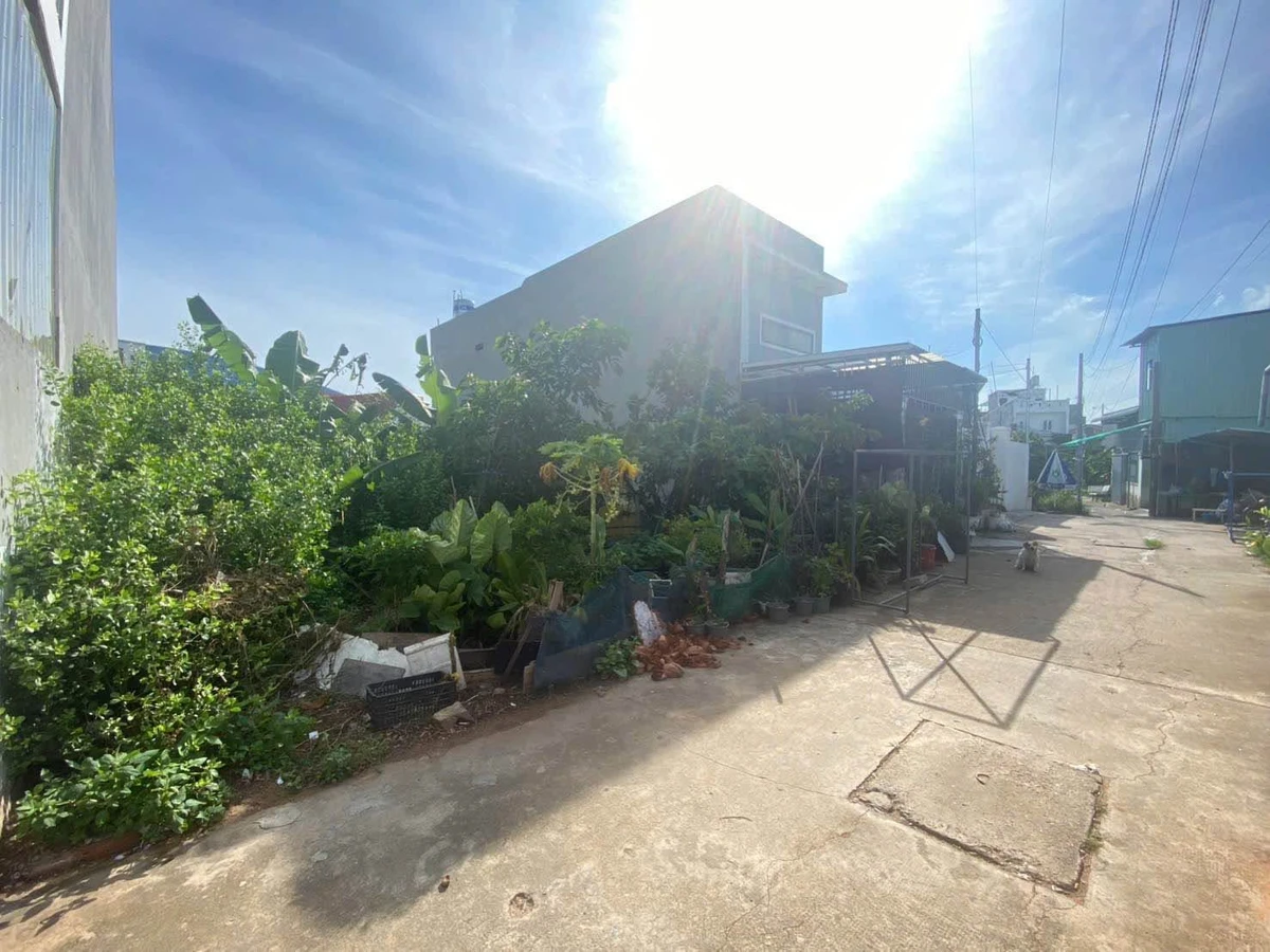 Bán lô đất 100m2 Bình Thuận, Lâm Đồng 1 tỷ 300 triệu - Ảnh thu nhỏ 3