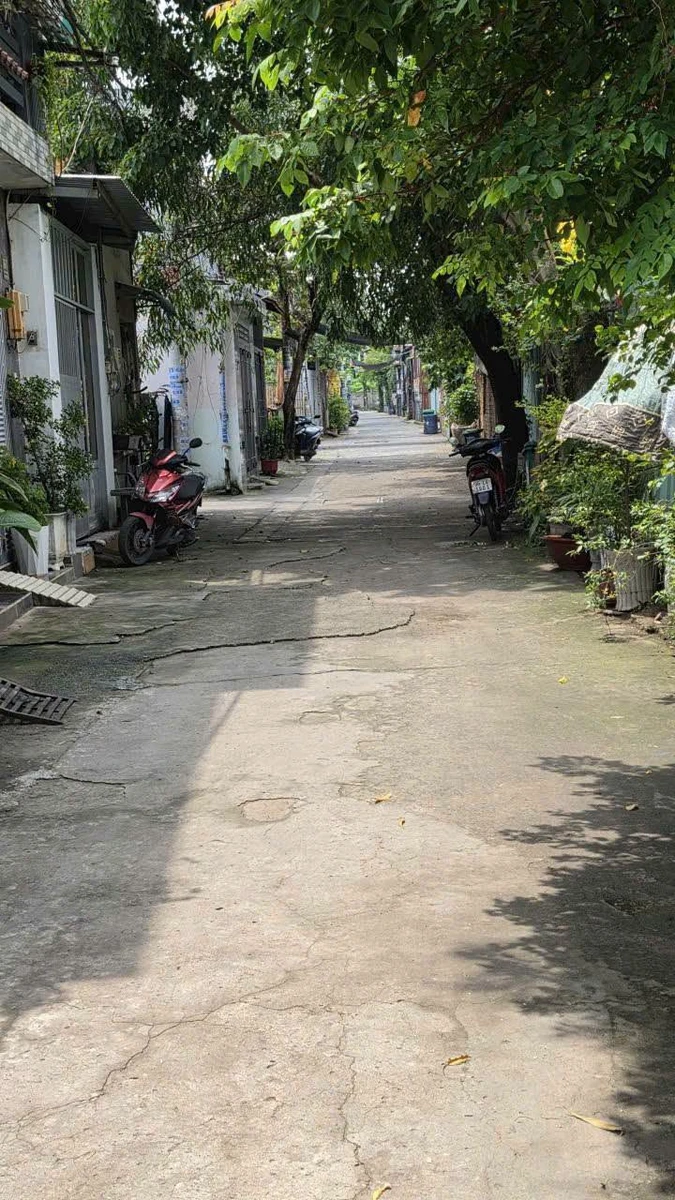 Bán đất Tân Thới Nhì Hóc Môn 110m2 2 tỷ 550 triệu - Ảnh thu nhỏ 3