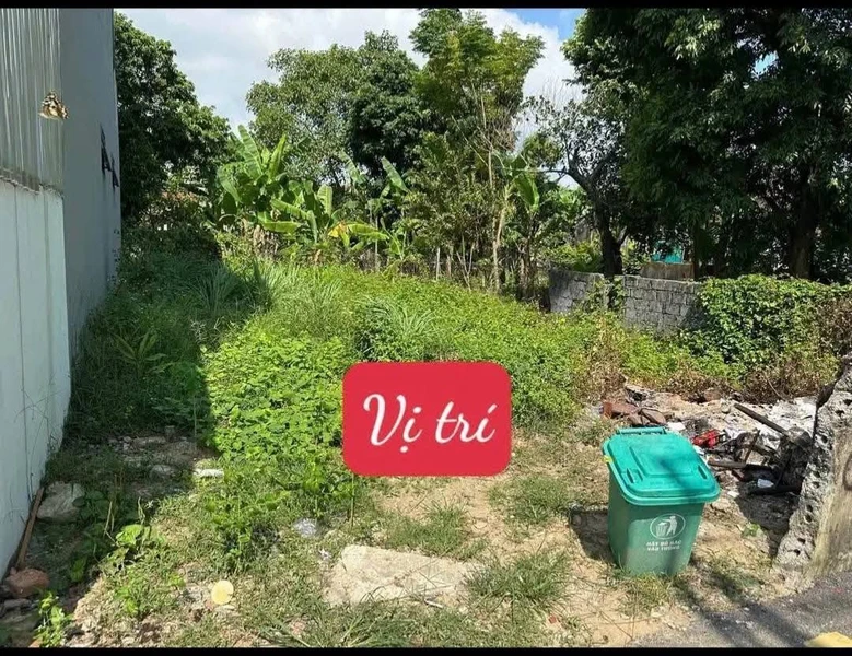 Bán đất 100m² thổ cư tại Hoằng Hóa, Thanh Hóa 600 triệu