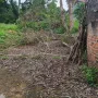 Đất giữa thị trấn Kép, Lạng Giang. 638m2 - Full thổ cư. Giá 3,5 tỷ - Ảnh thu nhỏ 9