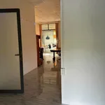 Bán nhà vườn Hàm Liêm 947m² với 2 căn nhà cấp 4 - Ảnh thu nhỏ 3