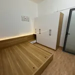 Cho thuê nhà nguyên căn 350m² 3 phòng ngủ TP Buôn Mê Thuột - Ảnh thu nhỏ 2