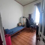 Bán đất 205m2 Trần Đại Nghĩa, Đà Lạt, 6.9 tỷ - Ảnh thu nhỏ 3