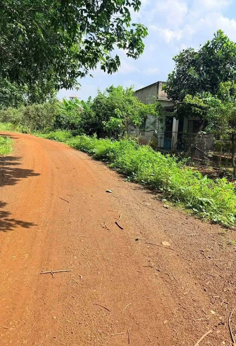 Bán lô đất 2500m² mặt tiền 50m ở Đồng Phú, giá 430 triệu - Ảnh thu nhỏ 3