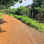 Bán lô đất 2500m² mặt tiền 50m ở Đồng Phú, giá 430 triệu - Ảnh thu nhỏ 3