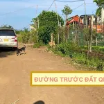 Bán đất 1000m2 có 100m2 thổ cư gần QL29, Ea Knốp, Ea Kar, Đắk Lắk giá 239 triệu - Ảnh thu nhỏ 3