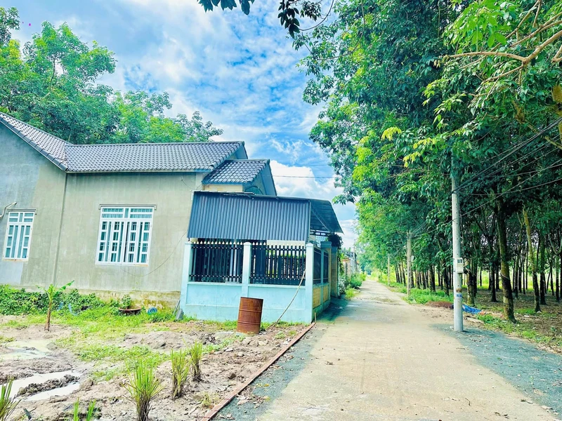 Bán đất 170m2 (10x17) nhánh đường Cao Bá Quát, phường Minh Hưng, Đồng Nai, giá 590 triệu