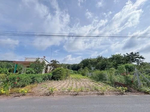 Bán gấp đất Phước Thành 1200m2 sổ riêng 459 triệu - Ảnh 1