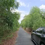 Bán đất tại Xã Tân Lập 1, Huyện Tân Phước, Tiền Giang, 6,9 tỷ, 7000 m2 hàng hiếm giá tốt - Ảnh thu nhỏ 9