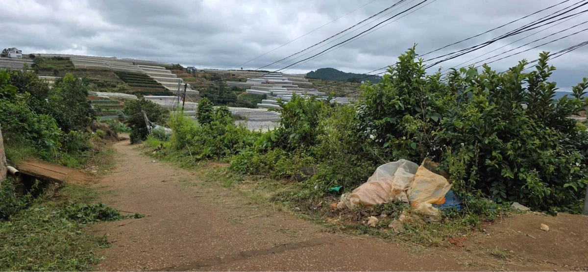 Bán đất 1672m² (200m² thổ cư) Xuân Thọ, Nhà Bè - Ảnh thu nhỏ 5