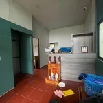Cho thuê nhà sân vườn 300m², 2PN ở Hòa Long, Bình Dương - Ảnh thu nhỏ 2