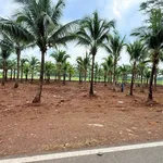 Bán đất mặt tiền Tỉnh Lộ 997, 720m2, gần biển Lộc An - Ảnh thu nhỏ 2