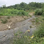 Bán khuôn viên nhà vườn 1400m2 gần suối, có 2 nhà sàn tại Đà Bắc, Hòa Bình - Ảnh thu nhỏ 1