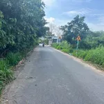 Bán lô đất thổ cư 5x23 (115m2) Khu 3 Tân Định, Hòa Lợi (Bến Cát cũ) - Ảnh thu nhỏ 3