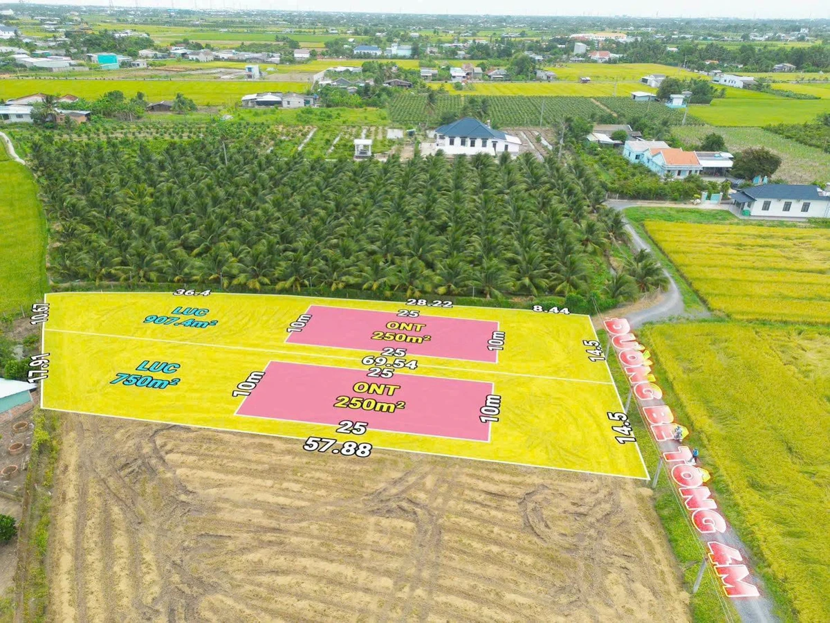 Bán đất 1.000m2 thổ cư tại Lạc Tấn, Tân Trụ, Long An - Ảnh thu nhỏ 2