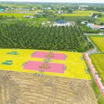 Bán đất 1.000m2 thổ cư tại Lạc Tấn, Tân Trụ, Long An - Ảnh thu nhỏ 2