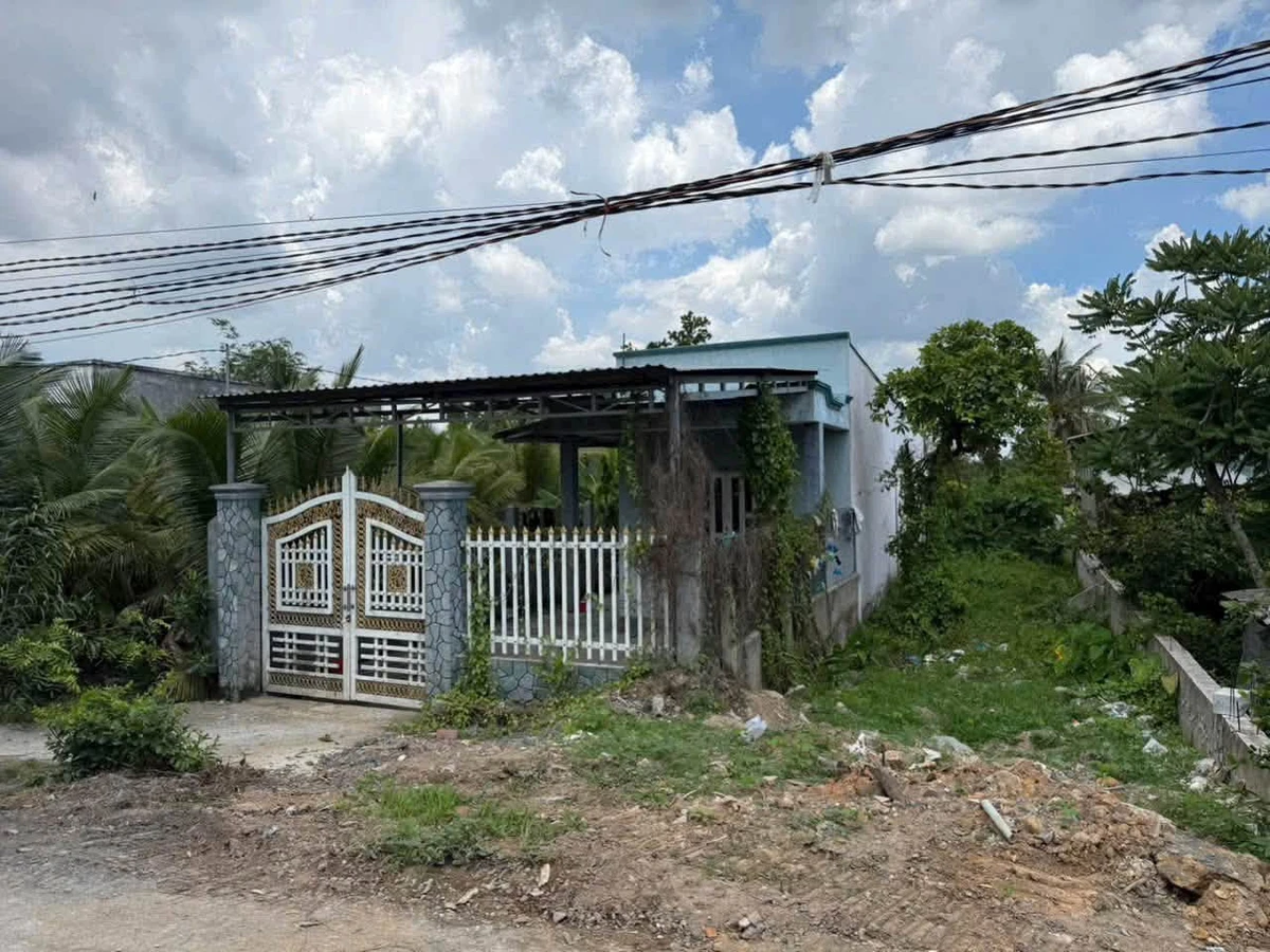 Bán đất 1000m² Ấp 8 Lương Hòa, Bến Lức, Long An - Ảnh thu nhỏ 4