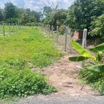 Bán đất 150m² giá 209 triệu tại Tây Ninh - Ảnh thu nhỏ 1