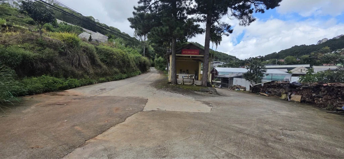 Bán đất 8034m2 mặt tiền đường Trần Thái Tông, Phường Xuân Hương, Đà Lạt giá 15 tỷ - Ảnh thu nhỏ 5