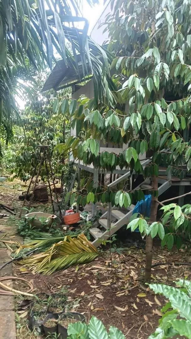 Bán lô đất thổ cư 5x41m giá 750 triệu tại Cư Jút, Lâm Đồng - Ảnh thu nhỏ 4