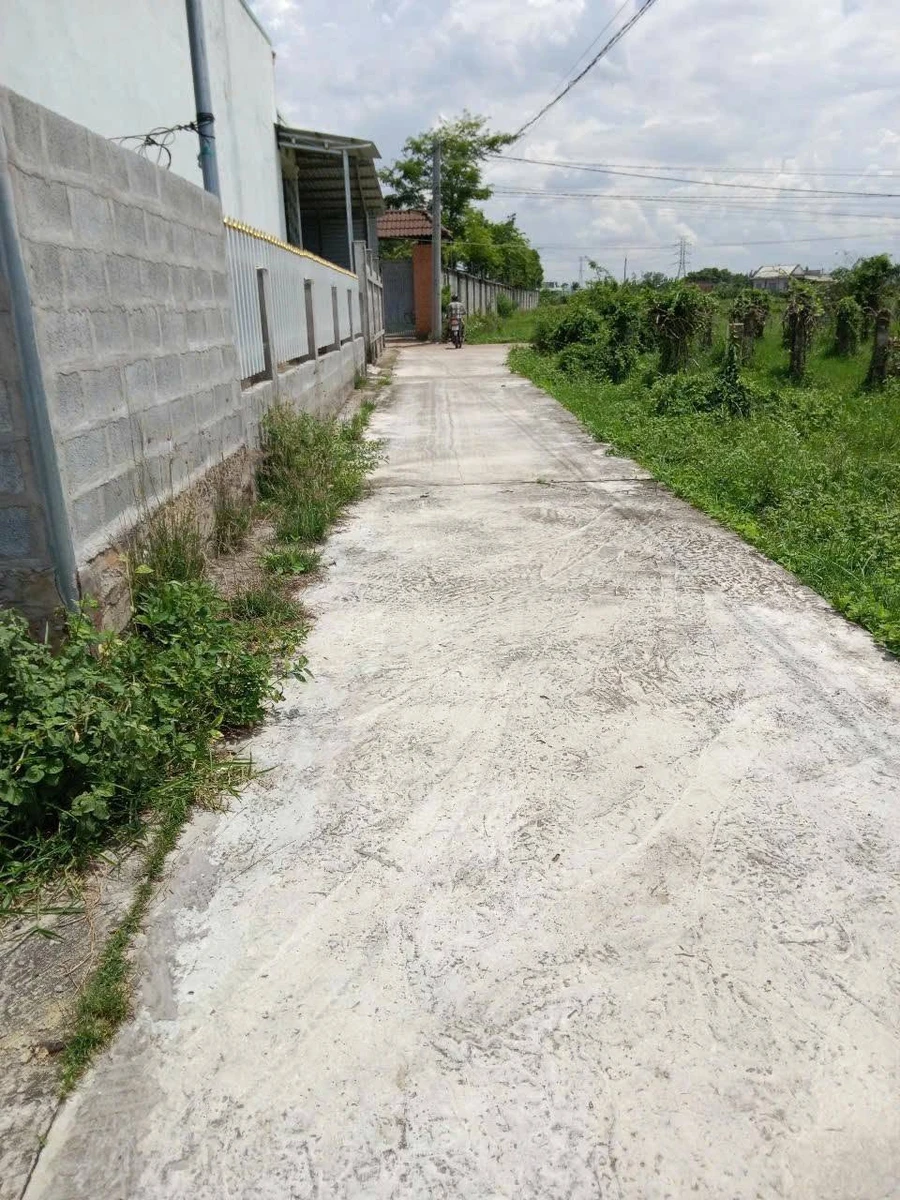 Bán đất Hàm Liêm Bình Thuận 100m² giá 200 triệu - Ảnh thu nhỏ 3
