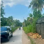 Bán đất 639m2 mặt tiền ngang 14m giá 1,5 tỷ tại An Thạnh, Mỏ Cày Nam, Bến Tre - Ảnh thu nhỏ 4