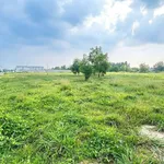 Bán đất công nghiệp SKK Đồng Nai 6.000 m², 31 tỷ - Ảnh thu nhỏ 3