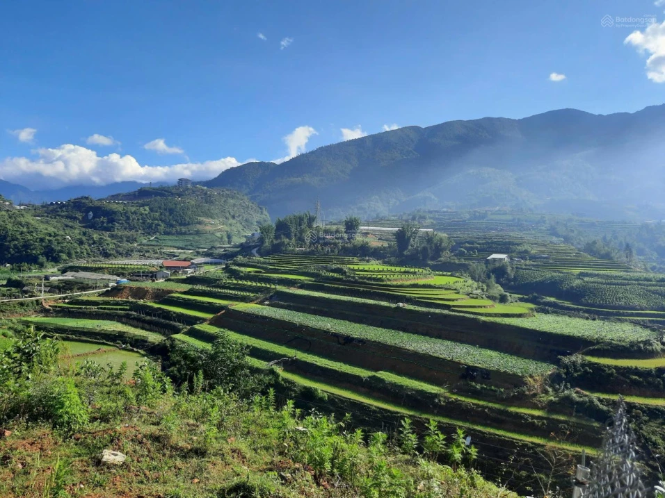 Bán đất Sapa view đẹp làm quán cafe, khách sạn, dt 750 m2, chỉ 5.6 tỷ, bao giấy phép xd - Ảnh thu nhỏ 4