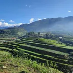 Bán đất Sapa view đẹp làm quán cafe, khách sạn, dt 750 m2, chỉ 5.6 tỷ, bao giấy phép xd - Ảnh thu nhỏ 4
