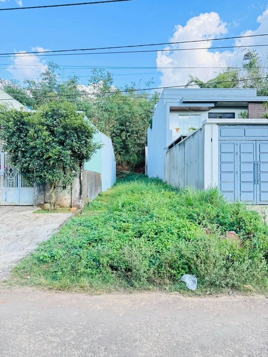 Bán đất mặt tiền Nguyễn Thiếp Diên Hồng 170m2 - Ảnh 1