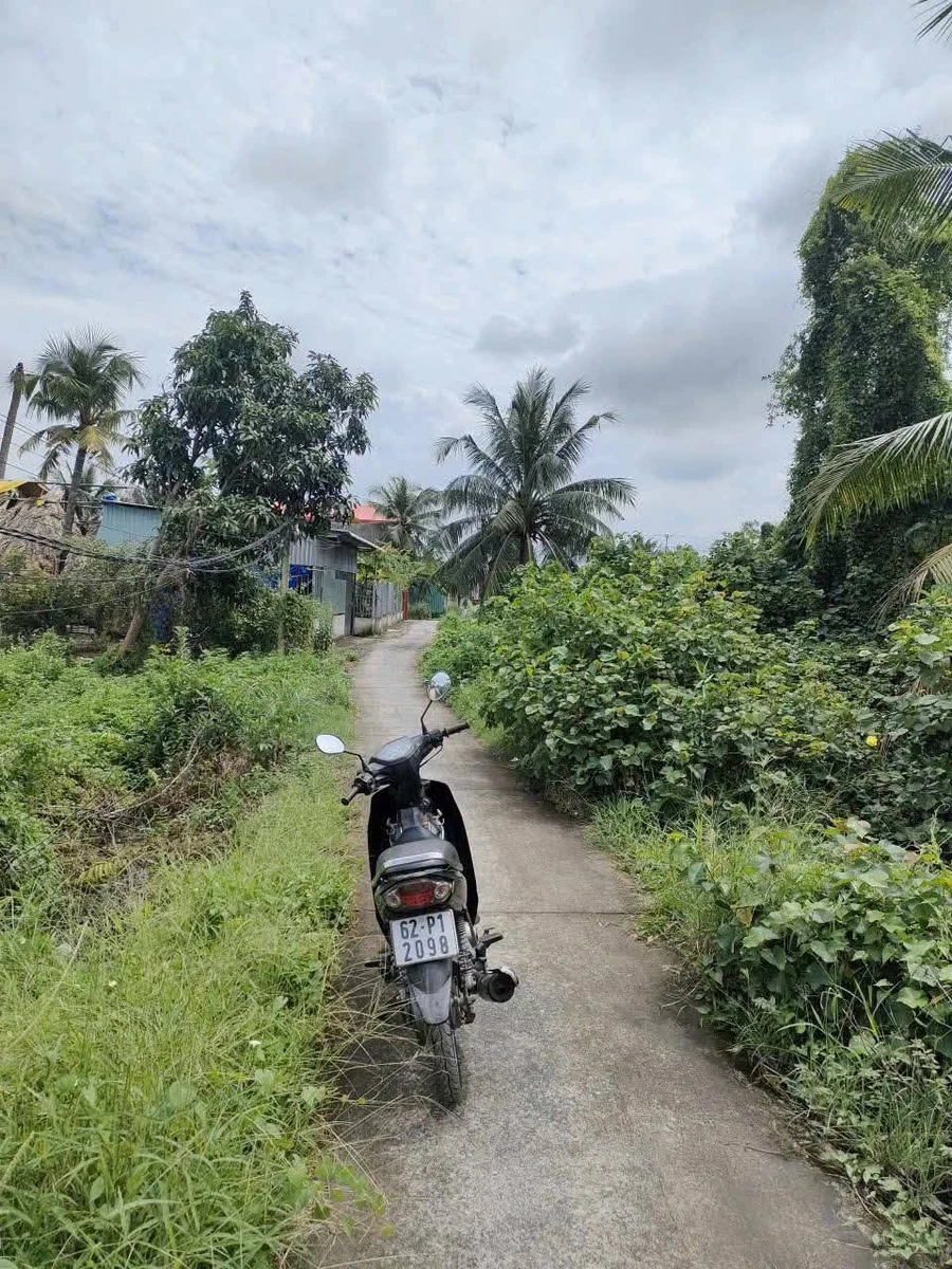 Bán 1000m² đất vườn mặt tiền ôtô Tây Ninh 2,3 tỷ - Ảnh thu nhỏ 4