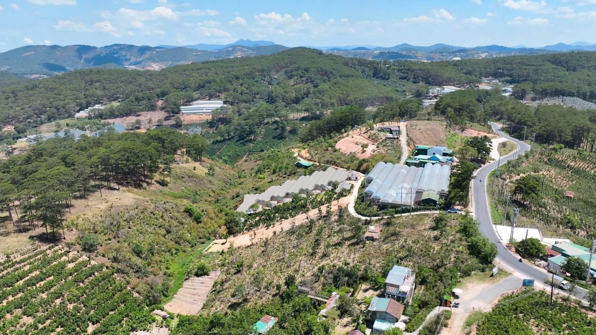 Bán đất mặt tiền QL20 Đà Lạt 11.242m2, giá 20 tỷ - Ảnh thu nhỏ 3