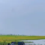 Bán đất vườn 1.200m² view hồ Trị An, Định Quán - Ảnh thu nhỏ 2