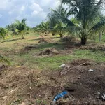 Bán đất 1500m² Xã Châu Hưng, Vĩnh Long 300 triệu - Ảnh thu nhỏ 4